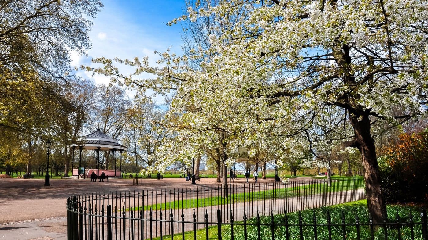 A sunny park with blossom trees, a bandstand and wide surfaced paths
