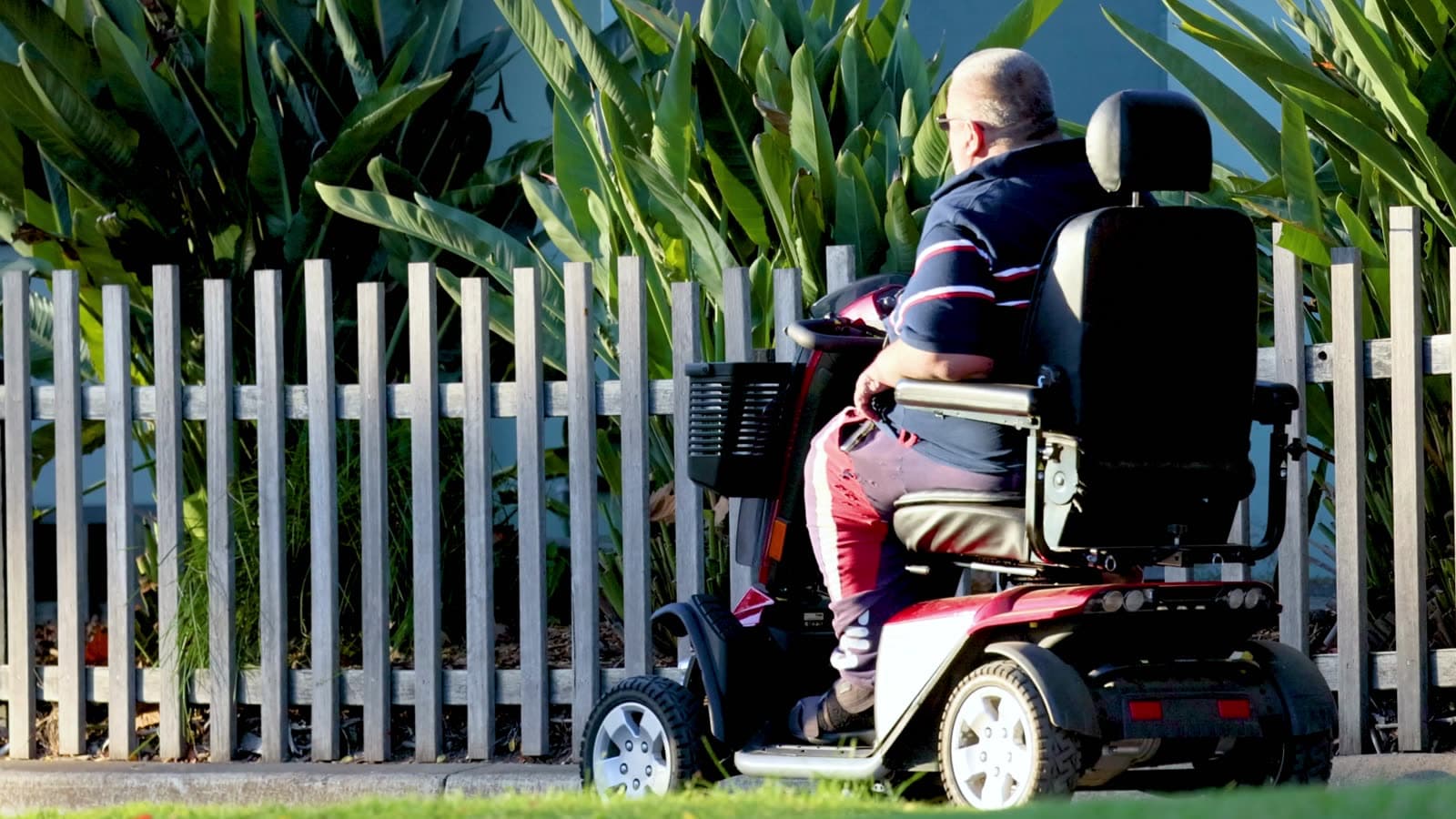 A man riding a mobility scooter along a pavement beside a garden fence